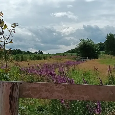 E Berry Farm - Slow Life Home Olszyna  Eksteriør bilde