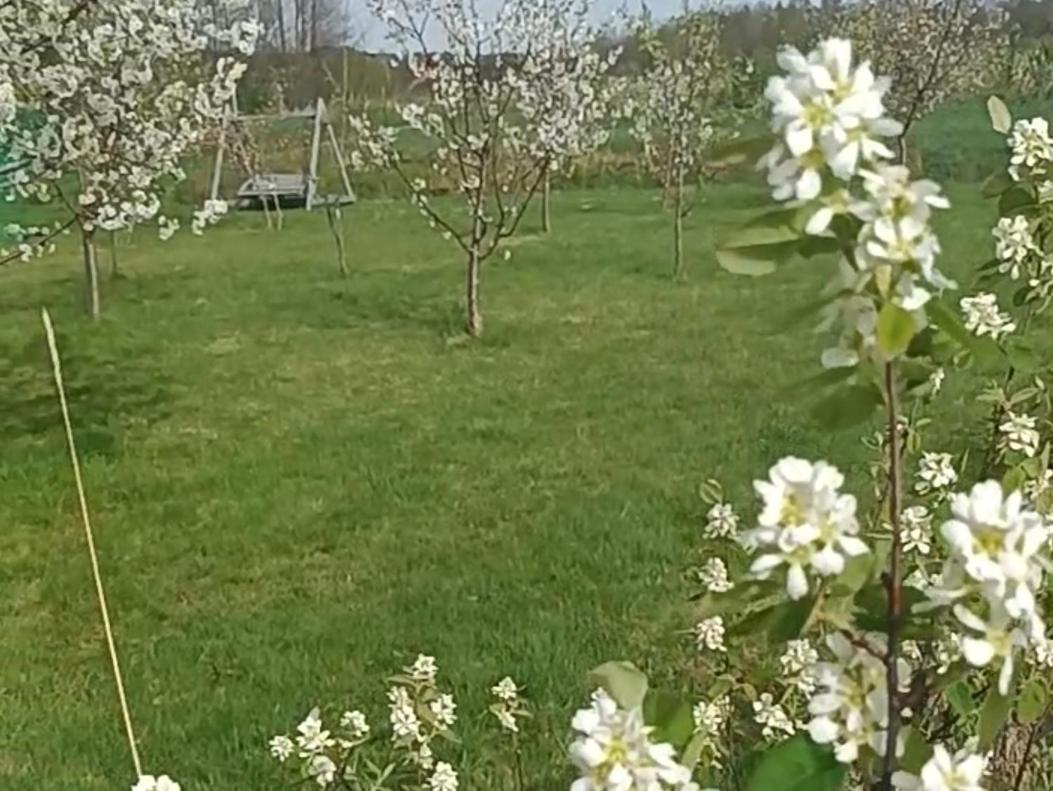 Holiday home E Berry Farm - Slow Life *