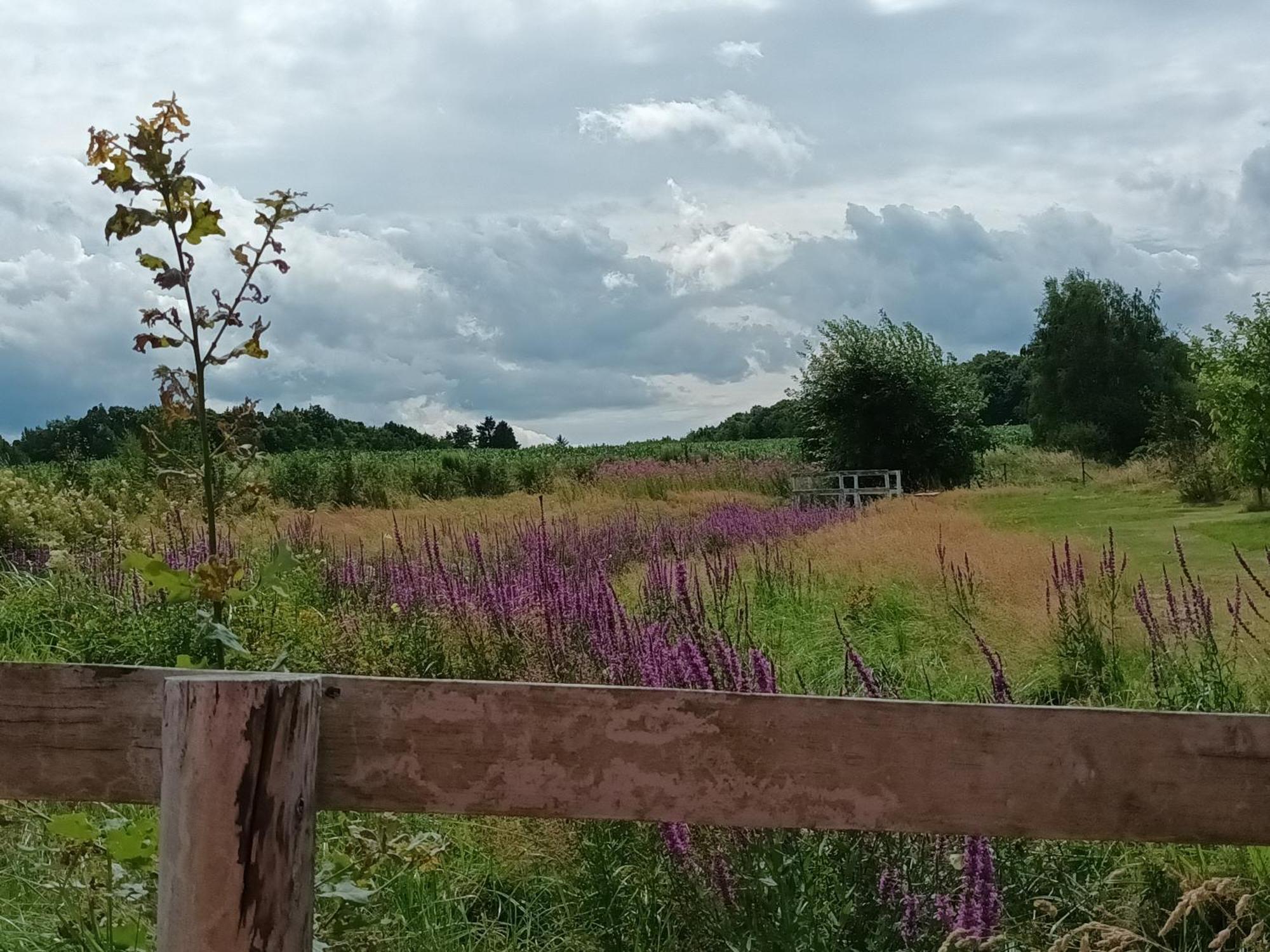 E Berry Farm - Slow Life